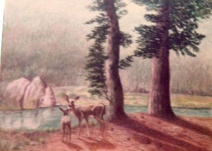 Doe Faun Pine - An Oil Painting by Grace Leonard